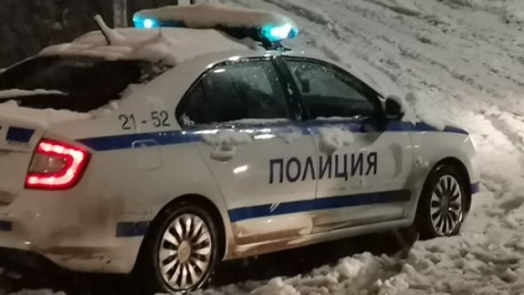 Снимка: архив, БГНЕС