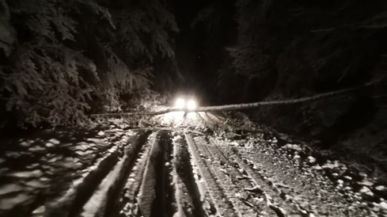 Снимка БГНЕС, архив