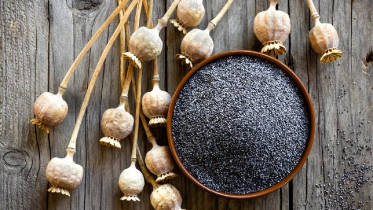 Снимка: Istock