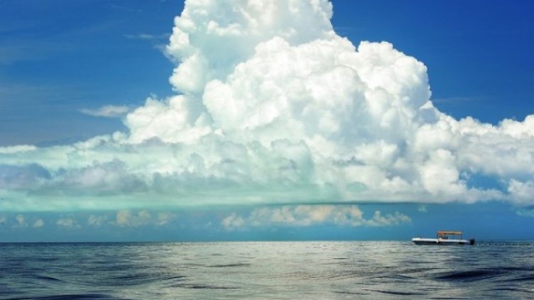 Снимка: Pixabay