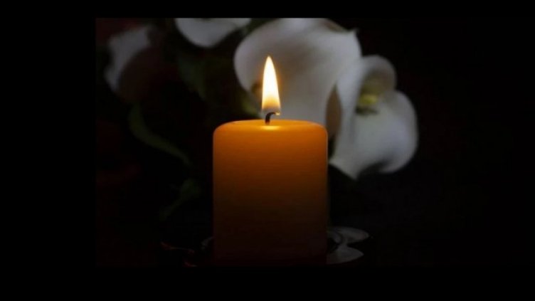 Снимка БГНЕС