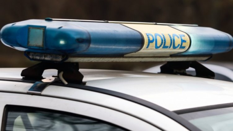 Снимка: архив, БГНЕС