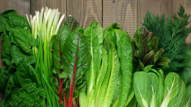 Снимка: Istock