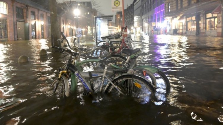 Снимка: БГНЕС