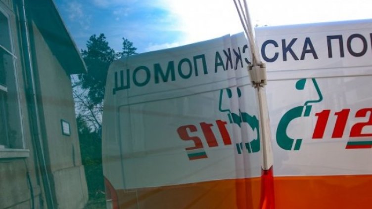 Снимка: Димитър Кьосемарлиев, Dnes.bg