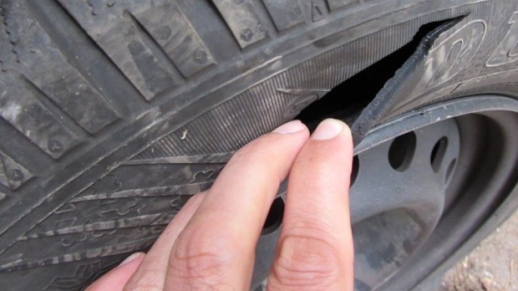 Снимка БГНЕС