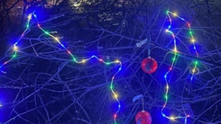 Снимка Фейсбук