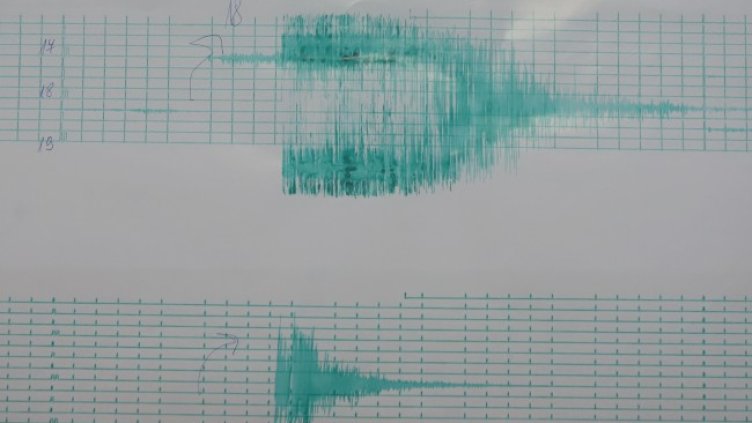 Снимка БГНЕС