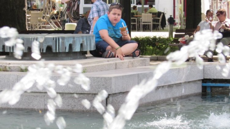 Снимка БГНЕС