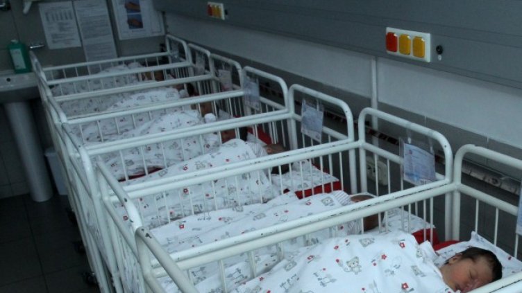 Снимка: БГНЕС, архив