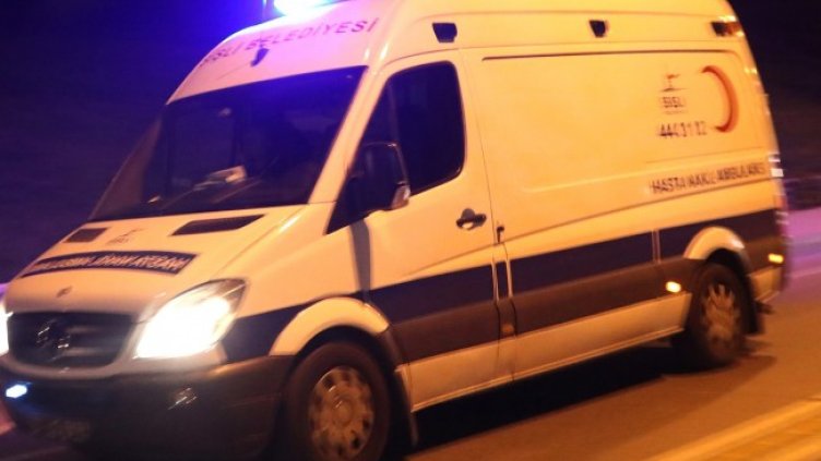 Снимка: архив, БГНЕС