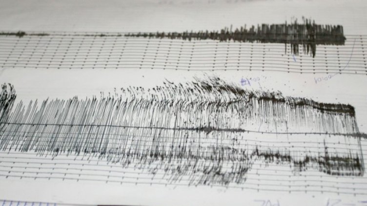 Снимка: архив, БГНЕС