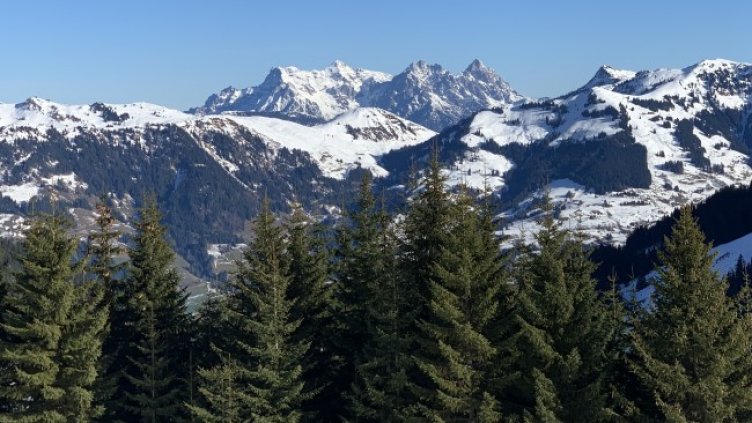 Снимка БГНЕС, архив