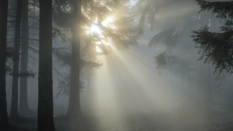 Снимка БГНЕС