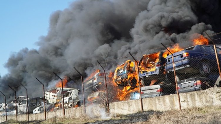 Снимка: БГНЕС, архив