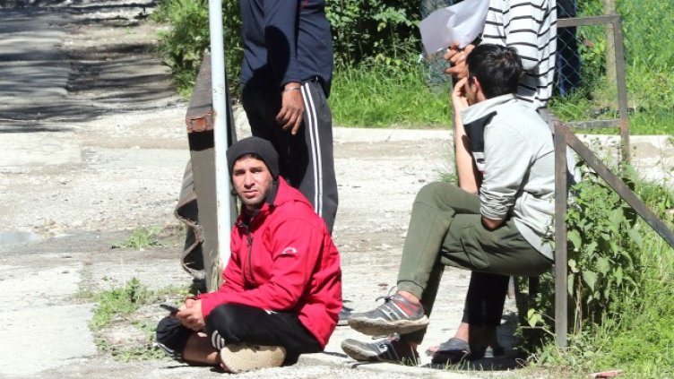 Снимка: архив, БГНЕС