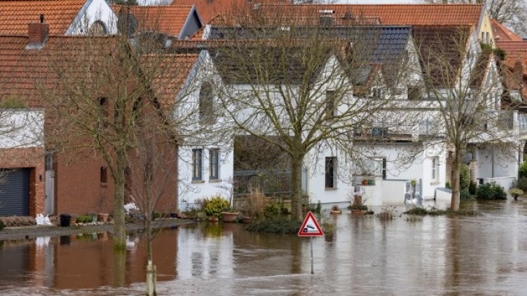 Снимка: архив, БГНЕС