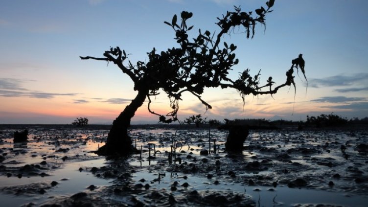 Снимка: БГНЕС/ЕРА