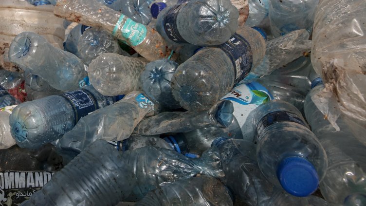 Снимка: архив, БГНЕС