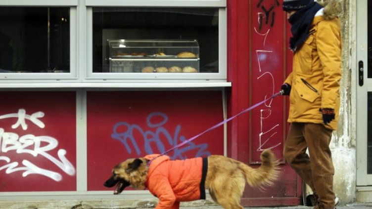 Снимка БГНЕС