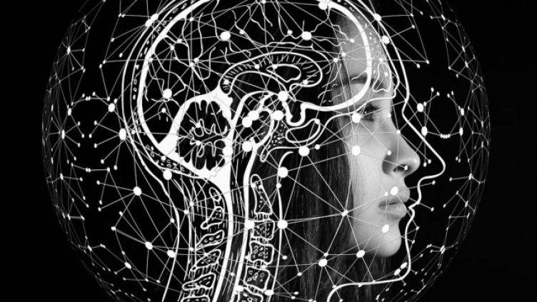 Снимка БГНЕС