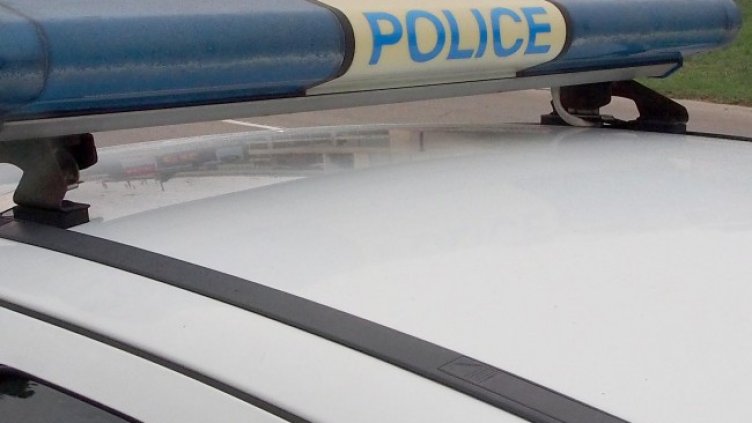 Снимка БГНЕС, архив