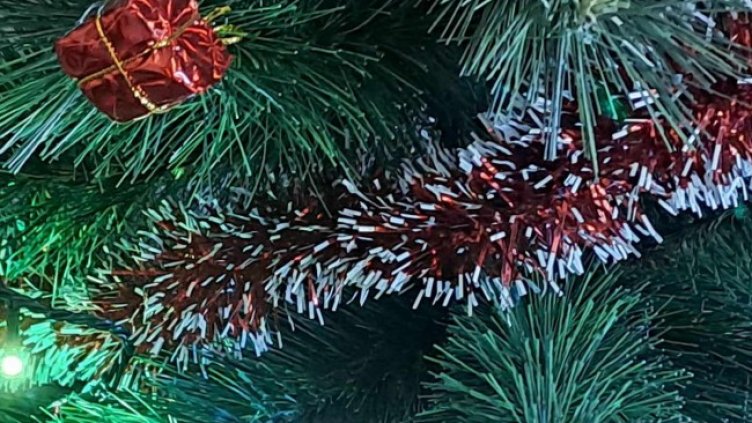 Снимка БГНЕС, архив