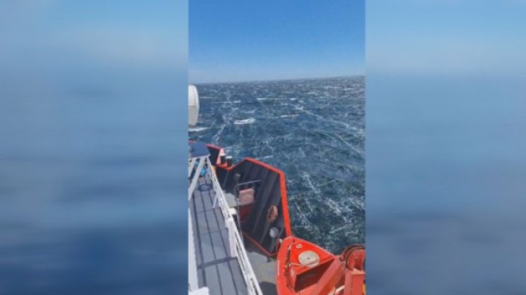 Снимка: БНТ