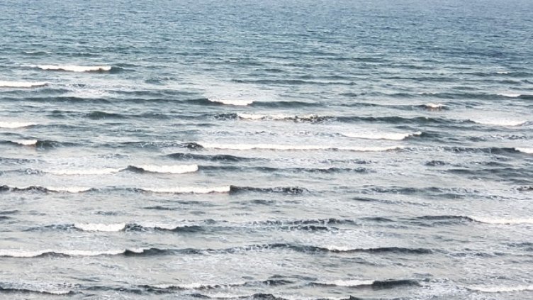 Снимка: архив, БГНЕС