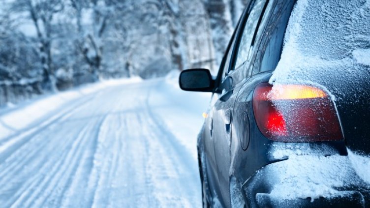 Снимка: shutterstock