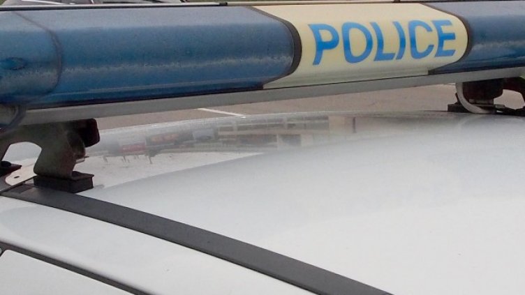 Снимка БГНЕС, архив