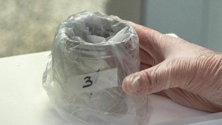 Снимка: архив, БГНЕС