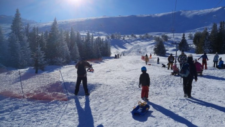 Снимка: БОК