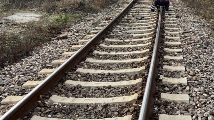 Снимка БГНЕС, архив