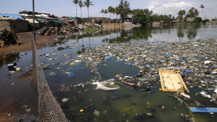 Снимка: архив, БГНЕС