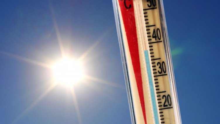 Снимка: архив, БГНЕС