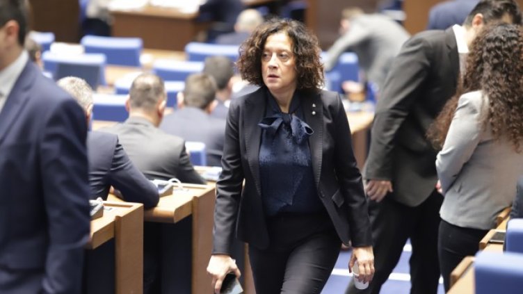 Снимка: БГНЕС