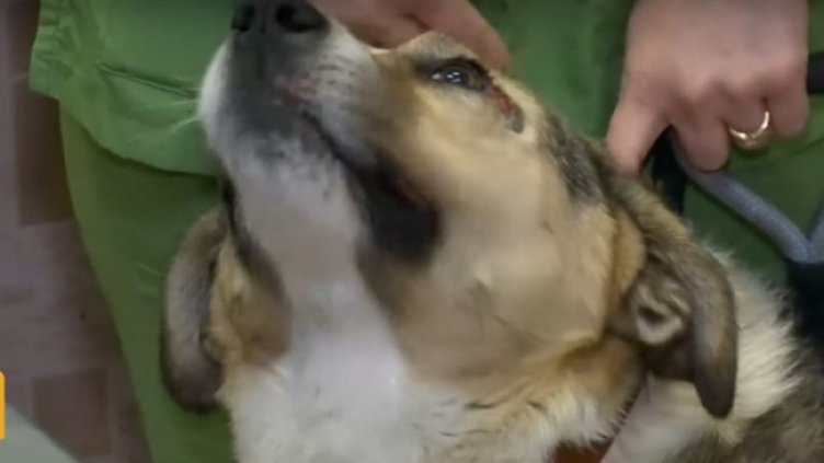 Кадър: Нова тв