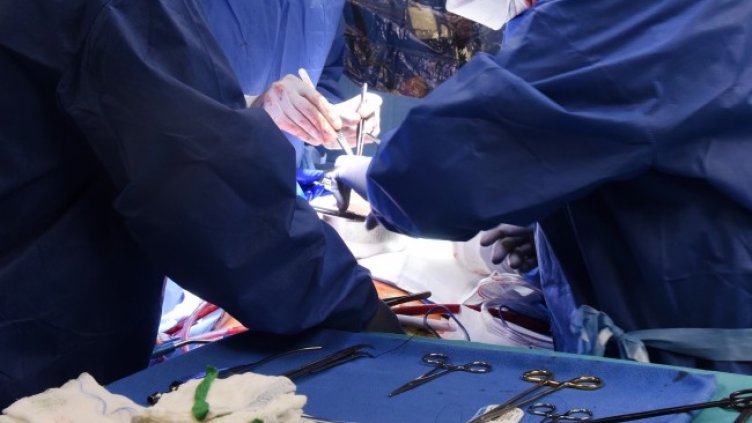 Снимка: архив, БГНЕС