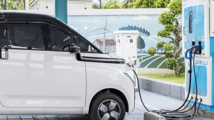 Снимка: архив, БГНЕС