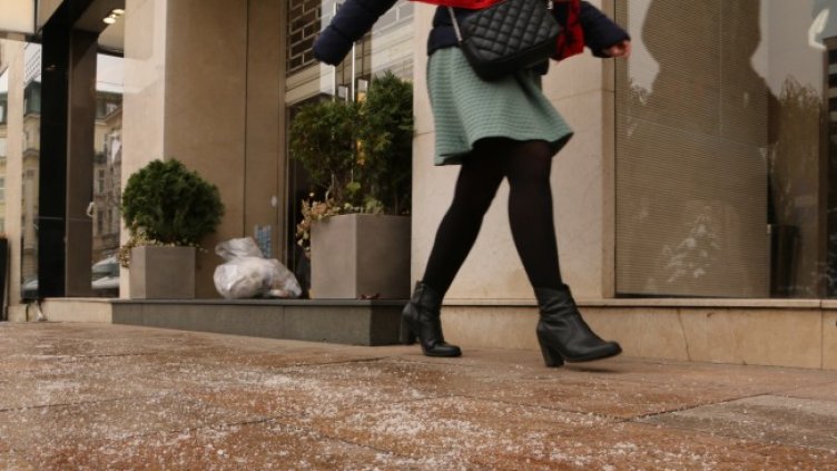 Снимка БГНЕС