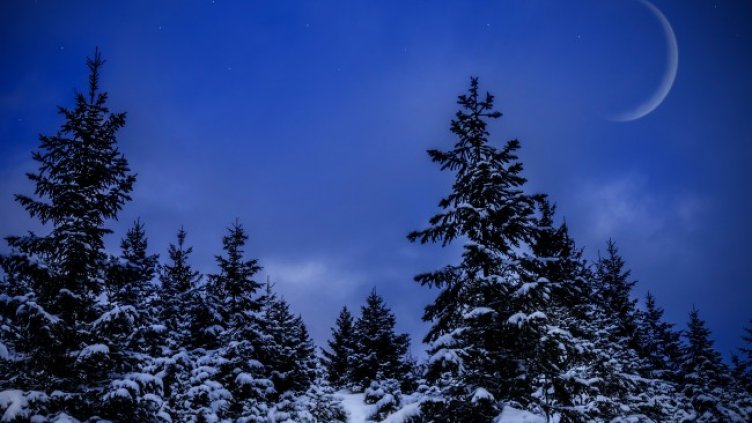 Снимка: iStock/pictureimpressions