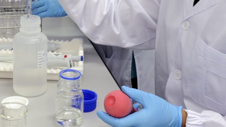 Снимка: архив, БГНЕС