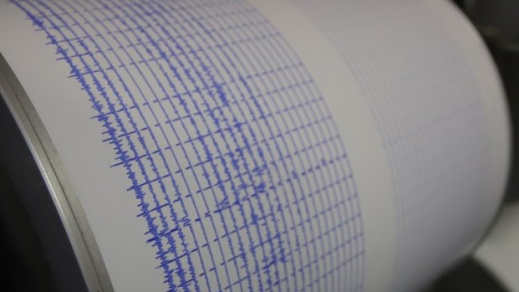 Снимка: архив, БГНЕС