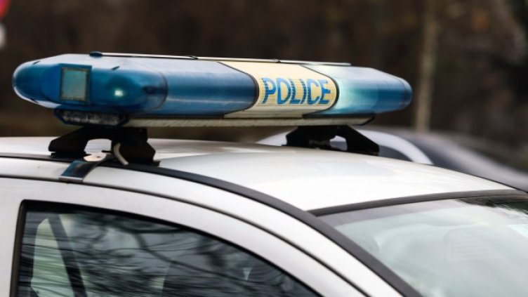 Снимка: архив, БГНЕС