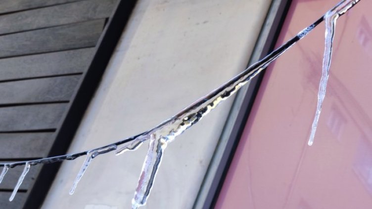 Снимка: архив, БГНЕС