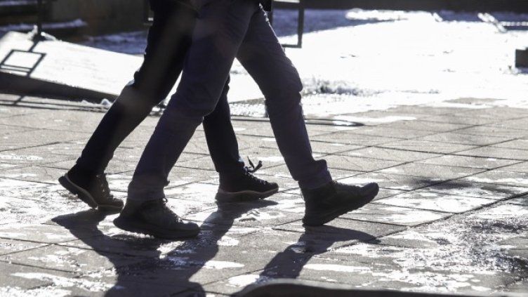 Снимка: архив, БГНЕС