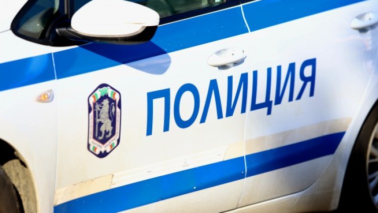 Снимка: архив, БГНЕС