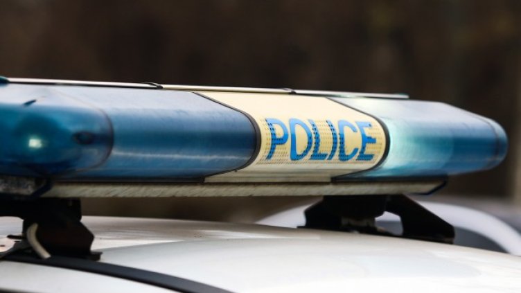 Снимка: архив, БГНЕС