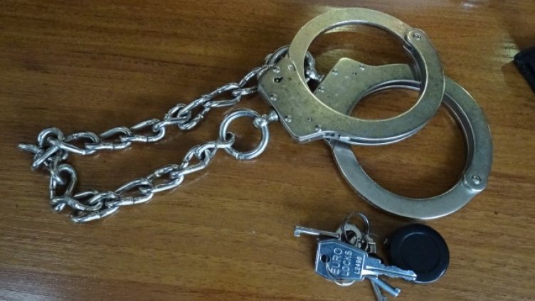 Снимка БГНЕС